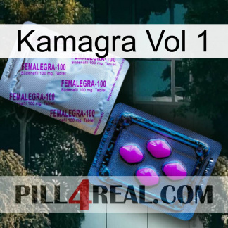 Kamagra Vol 1 37